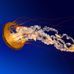 Profile Picture of Paul Samuelson (@paul.samuelson.756) on Facebook