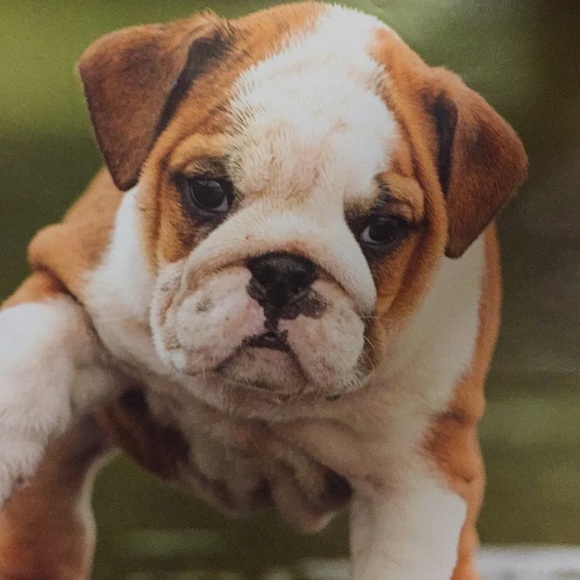 Profile Picture of Gonzalez Gonzalez (@carmenatytaina) on Poshmark