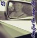 Profile Picture of Chad Wickman (@chad.wickman.9615) on Facebook