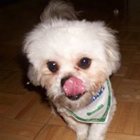 Profile Picture of Lisa Smyth (@lisa-smyth-11) on Quora