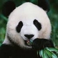 Profile Picture of Alex Ragan (@alex-ragan-1) on Quora