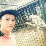 Josh Añasco - Instagram Profile Picture of Josh Añasco (@shuayeho) on Instagram