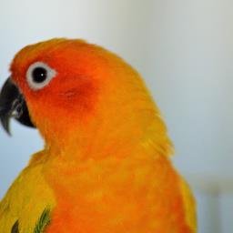 Profile Picture of Bruce Chapman (@brucechapman20) on Twitter