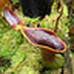 Profile Picture of john yates (@snapperhead51) on Flickr