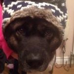 Profile Picture of Trevor Dobbin (@tdobber111) on Instagram