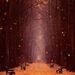 Profile Picture of Maloney Terrence (@edmondsrawinia) on Pinterest