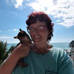 Profile Picture of Lori L Hashman (@lorileehashman) on Instagram