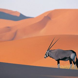 Profile Picture of Lorenzo Audet (@lorenzo.audet.9) on Facebook