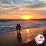 Profile Picture of Brian Miesegaes (@brianmiesegaes) on Instagram