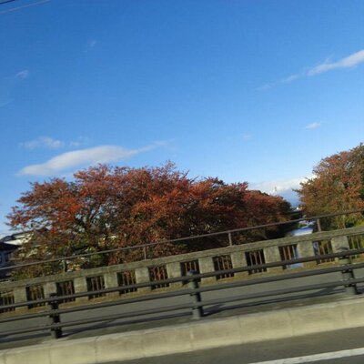 Profile Picture of Madeline S. Kingan (@smart_uja) on Twitter