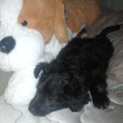 Profile Picture of Jhon David Fiestas R (@JhonDavidFiest1) on Twitter