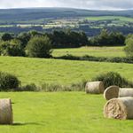 Profile Picture of Derek Doran (@derek_doran) on Instagram