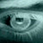 Profile Picture of Lauremarieo (@lauremarieo) on Flickr