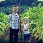 Profile Picture of Jason Evitts (@jasonevitts) on Instagram