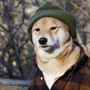 Profile Picture of Christian Rafael T. Fabellon (@lm3310) on Myspace