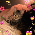 Profile Picture of monica💗🥺 (@monica_issa_hotcheeto) on Instagram