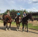 Profile Picture of Tanja Lenkart (@tanja.lenkart.3) on Facebook