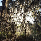 Profile Picture of Jonathan Brisco (@jonathanbrisco3661) on Youtube