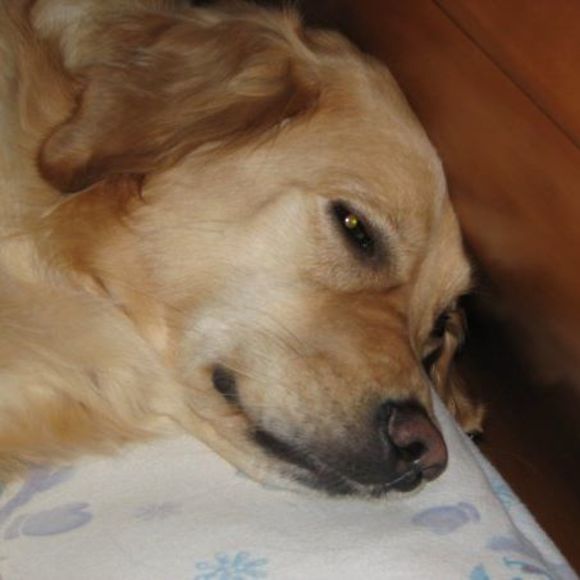 Profile Picture of Bonnie Hubbell (@mega_brat78) on Poshmark