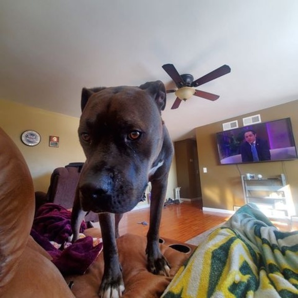 Profile Picture of Adam Halverson (@ae_halverson) on Poshmark