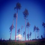 Profile Picture of Cassandra Dilemo (@cassandradilemo) on Instagram