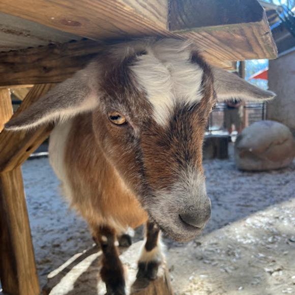 Profile Picture of Joshua Keith (@joshuathekeith) on Poshmark