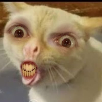 Profile Picture of Jim Markos (@jim_markos) on Twitter