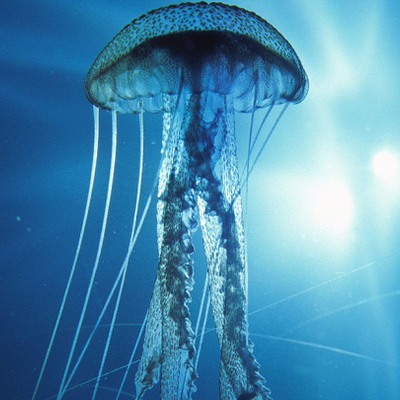 Profile Picture of Robert Ward (@OceanWarder) on Twitter