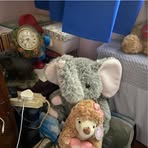 Profile Picture of Jacqueline Tutton (@Jacqueline-Tutton) on Facebook