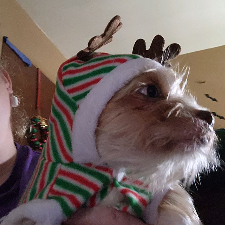 Profile Picture of Amanda Moriarity (@cheekybabysmommmy) on Tiktok