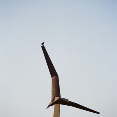 Profile Picture of Mark Segal (@PhotoSegal) on Twitter