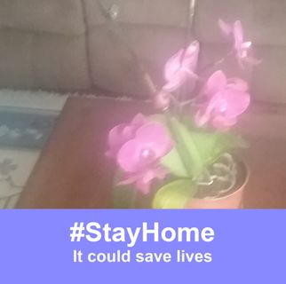 Profile Picture of Janet Judge (@janet.judge.52) on Facebook
