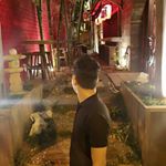 Profile Picture of #HurbertReiner(RyneRpAUl) (@rynerpaul_official) on Instagram