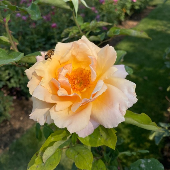 Profile Picture of Emma James (@emmaj5711) on Poshmark