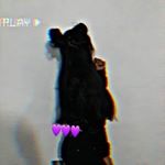 Profile Picture of Annie cerna (@mariel_cerna) on Instagram