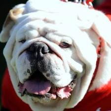 Profile Picture of Brian Owens (@brianowens1961) on Twitter