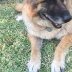 Profile Picture of John Gosling (@john.gosling.779) on Facebook