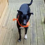 Profile Picture of Jason Wightman Sr (@jbgone13) on Instagram