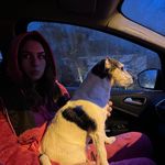 Profile Picture of Jesse ⭐️💫✨⚡️🌟 (@jessegrimmo) on Instagram