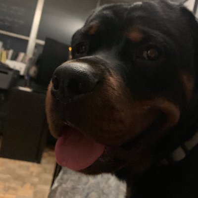 Profile Picture of Rick Chatarpaul (@@arott21) on Twitter