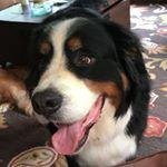 Profile Picture of Jillian Bunker (@juliangofa5929) on Instagram