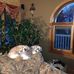 Profile Picture of Lori Holzmer (@lori.holzmer) on Facebook