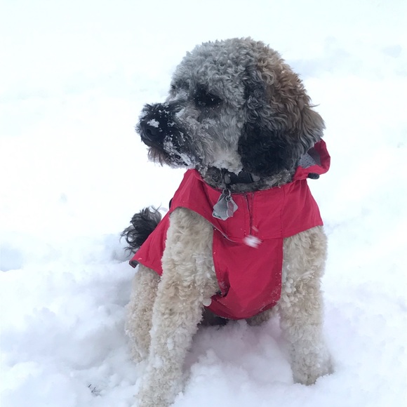 Profile Picture of Claudine Runnette (@crunnette) on Poshmark