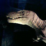 Profile Picture of Alison Cleland (@aliclel) on Instagram