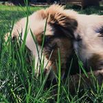 Profile Picture of christian levinsky (@christian.lev51) on Instagram