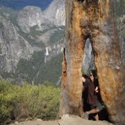 Profile Picture of Brett Reid (@ReidDollaz420) on Youtube