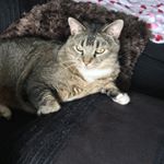 Profile Picture of Sarah Pearce (@sarah.pearce.hercules) on Instagram