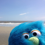 Profile Picture of David Sack (@davidsack.artist) on Flickr