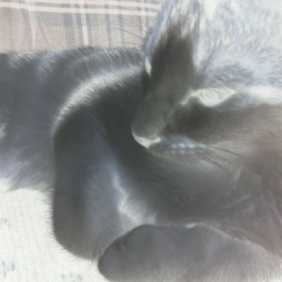 Profile Picture of Yellow Snow (@Michaelwason8) on Twitter