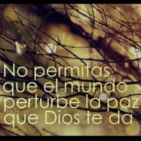 Profile Picture of Luisa Fernanda Ossa Quiceno (@lossaquiceno) on Pinterest